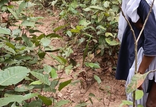 Indian School Girl Doing First Time Sex With Bad Pal At The Deep Jungle