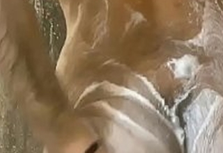 Bisexual Indian Twink soaping, playing in the shower, and fingering his soaped ass