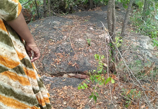 Outdoor breast and pussy licking viral movie