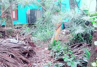 Bathroom Kaamwali Desi Beautiful Girl Tight Pusssy First Length of existence Xxx Videos, Desi Beautiful Village Girl sex episodes