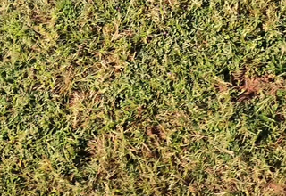 Rajesh wife sunisha fucked fast by his boyfriend and viral mms