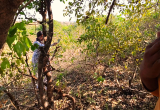 Indian desi bhabhi hot hardcore - Both the wretch and the girl are newly married and have consent at hand visit the forest..