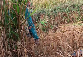 My Step Sister Fuck and Jism inside pussy Indian Beautiful Stepsister Desi Indian