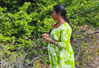 Desi Village Story - Bhabhi used to pluck Karvand fruits from the forest increased by sell them in the city - hindi audio hardcore movies.