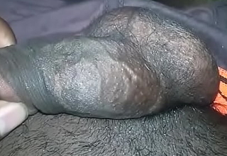 indian cock