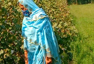 Blonde step sis teases in the cotton field, bending over be advisable for a wild bullwhips ride.